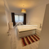 Apartament cu 2 camere,  mobilat modern, Strada Nicolae Titulescu thumb 3