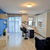 Apartament cu 2 camere, constructie noua, parcare, zona Iulius Mall imaginea mica 3 Apartament cu 2 camere, constructie noua, parcare, zona Iulius Mall thumb 3